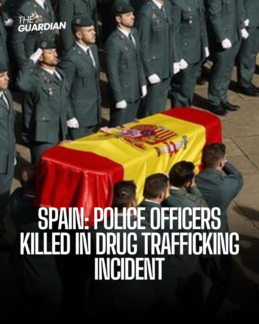Eight people have been arrested in Spain after two officers were killed in a boat chase with suspected drug traffickers.