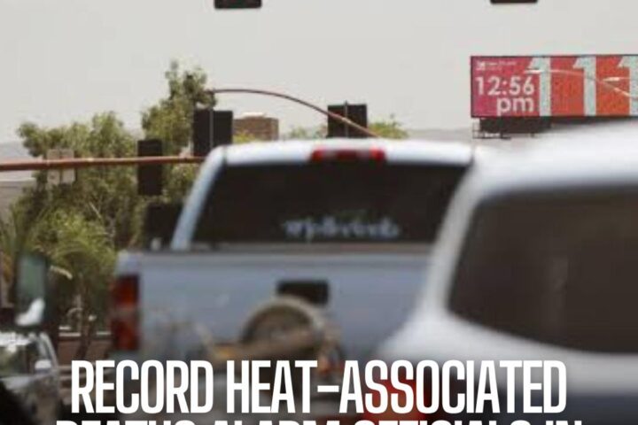 The number of heat-related casualties in Phoenix, Arizona, was over 50% higher than in 2022, which officers say 'can be prevented.'