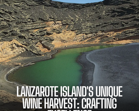 In Spain's Lanzarote Island, conical holes made into layers of volcanic ash harvest wines that have been formed from generations of creativity and hard work.