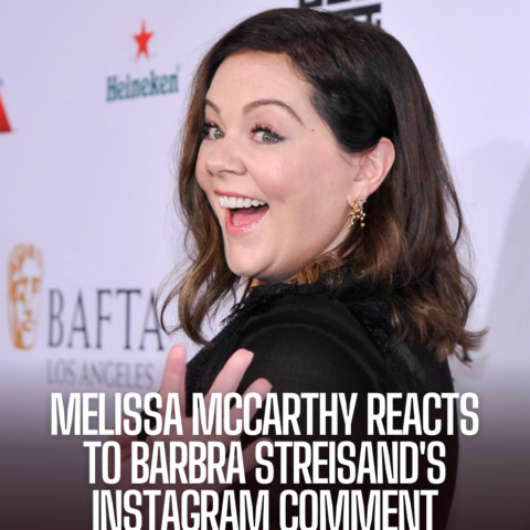 Melissa McCarthy handled Barbra Streisand's mistaken Instagram comment with grace and admiration.